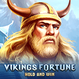 Vikings Fortune: Hold and Win