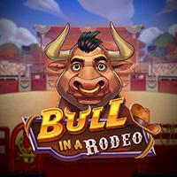 Bull in a Rodeo